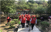 春意浓浓 芳草争绿——我院“3.12“”植树节活动